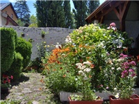 c8b96188-Avlija 001.jpg
